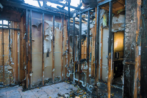 Professional Fire Damage Assessment technician working in Wink, TX